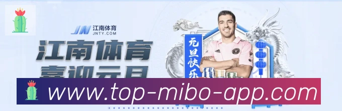 未来规划